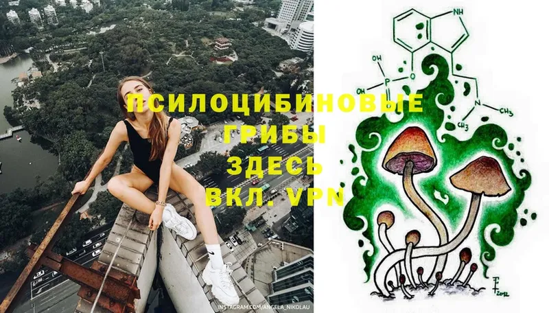 ОМГ ОМГ онион  Сертолово  Псилоцибиновые грибы Magic Shrooms 