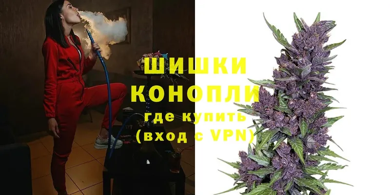 Шишки марихуана OG Kush  Сертолово 